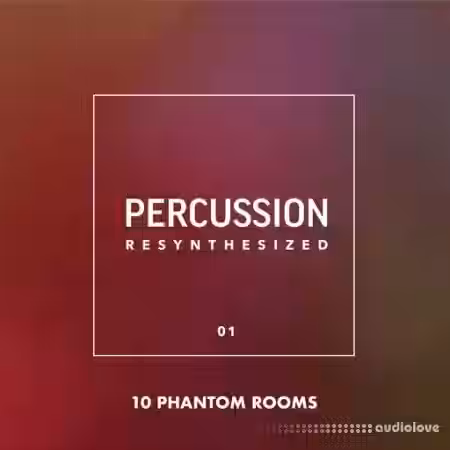 10 Phantom Rooms Percussion Resynthesized 01 [WAV] - Sample Pack Artwork