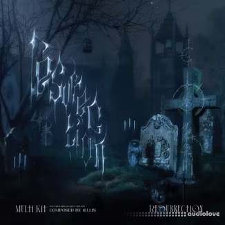 1Ellis Resurrection Multi Kit [WAV, Synth Presets, DAW Templates]