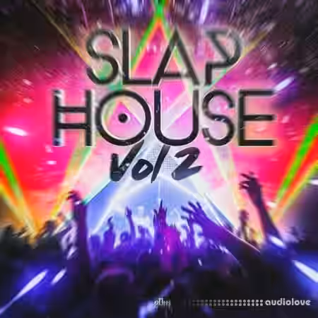 2Deep Beats Slap House Vol 2 [WAV, MiDi] - Sample Pack Artwork