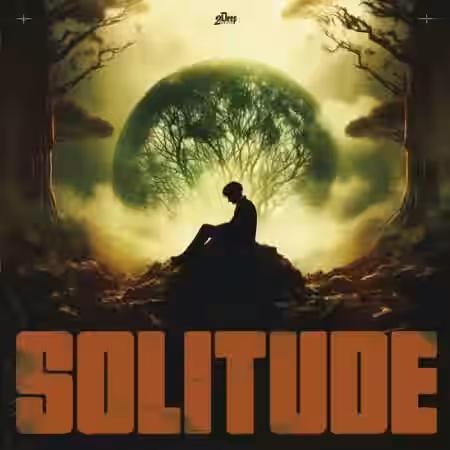 2DEEP BEATS Solitude [WAV, MiDi] - Sample Pack Artwork