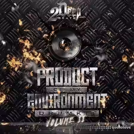 2DEEP Product Of My Environment Vol.2 [WAV] - Sample Pack Artwork