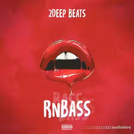 2DEEP RnBass [WAV] - Sample Pack Artwork