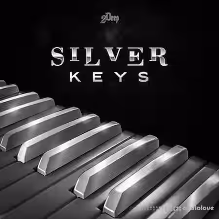 2DEEP Silver Keys Construction Kit [WAV, MiDi] - Sample Pack Artwork
