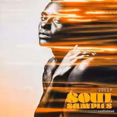 2DEEP Soul Samples [WAV] - Sample Pack Artwork