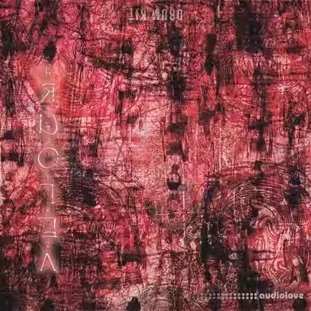 2sided ╔╣Γê⌐O╦Ñ╞ÄÆ DRUMKIT [WAV] - Sample Pack Artwork