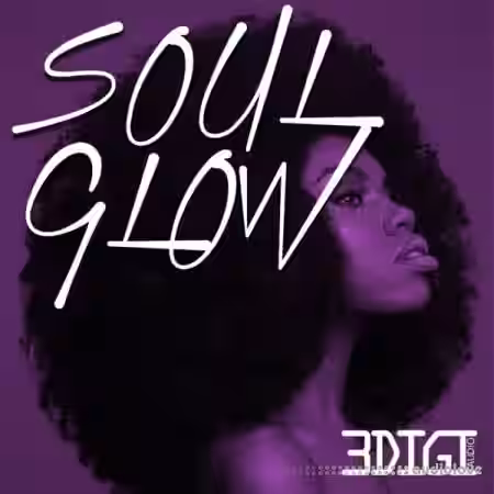 3 Digi Audio Soul Glow [WAV] - Sample Pack Artwork