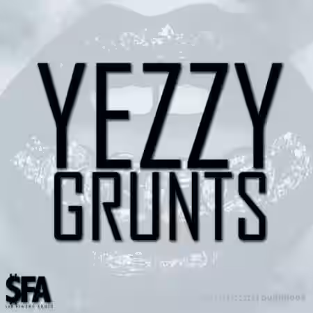 3 Digi Audio Yezzy Grunts [WAV, MiDi] - Sample Pack Artwork