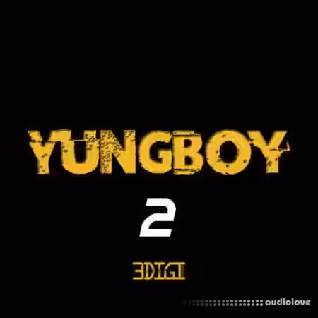 3 Digi Audio Yungboy 2 [WAV, MiDi] - Sample Pack Artwork