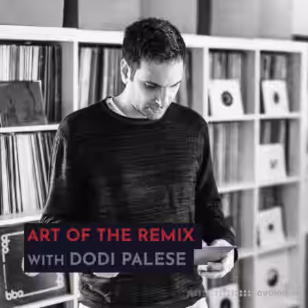 343 Pro Sessions Dodi Palese: Art of The Remix [TUTORiAL] - Sample Pack Artwork