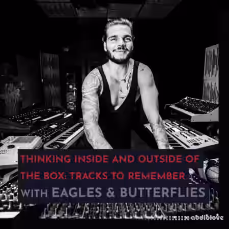 343 Pro Sessions Eagles and Butterflies Thinking Inside and Outside of The Box [TUTORiAL] - Sample Pack Artwork