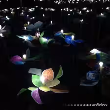 43% Giant Warped Frequencies [WAV] - Sample Pack Artwork