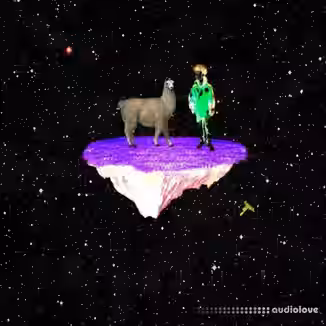 6Silky x BasedTj Kit [WAV, MiDi, Synth Presets, DAW Templates]