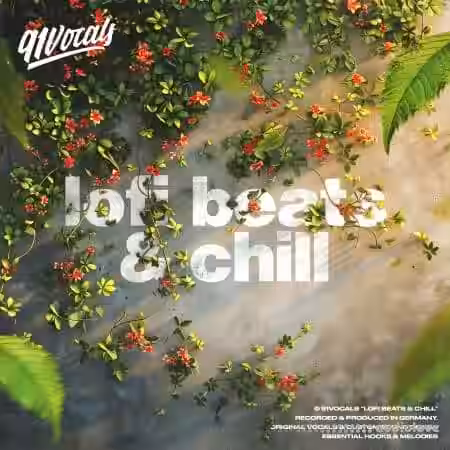 91Vocals Lofi Beats and Chill [WAV] - Sample Pack Artwork