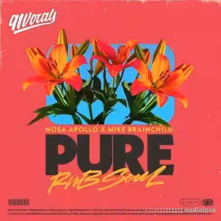 91Vocals Pure RnB Soul Nosa Apollo x Mike Brainchild [WAV] - Sample Pack Artwork
