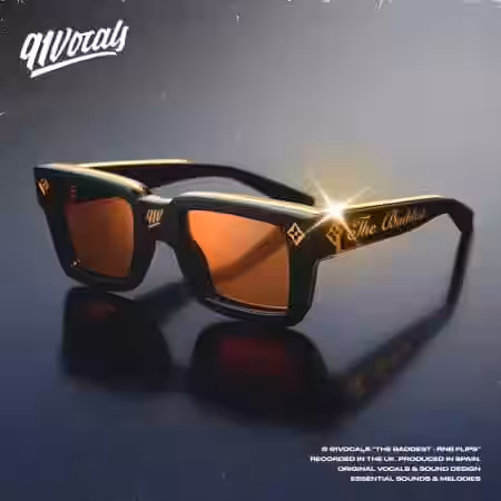 91Vocals The Baddest RnB Flips [WAV] - Sample Pack Artwork