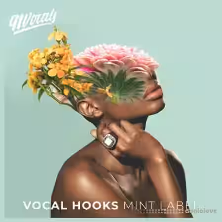 91Vocals Vocal Hooks Mint Label [WAV] - Sample Pack Artwork