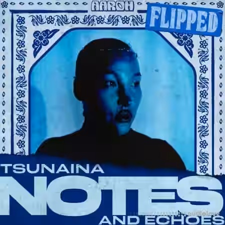 Aaroh TSUNAINA - Notes and Echoes [WAV] - Sample Pack Artwork