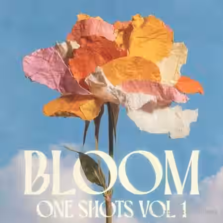 Adieu Bloom One Shots Vol.1 [WAV] - Sample Pack Artwork