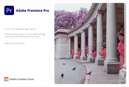Adobe Premiere Pro 2022 v22.6.1.1 [WiN] - Sample Pack Artwork