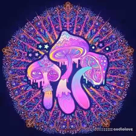 Adrenakrohm Psylenth Forest (Sylenth1 Preset Pack) [Synth Presets] - Sample Pack Artwork