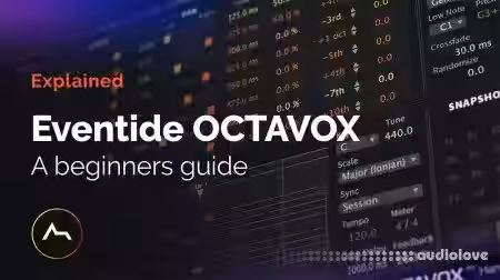 ADSR Sounds Eventide Octavox Beginners Guide [TUTORiAL] - Sample Pack Artwork