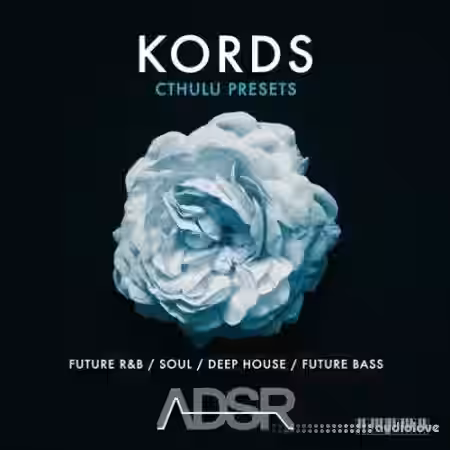 ADSR Sounds Kords [Synth Presets, MiDi] - Sample Pack Artwork