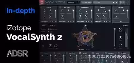 ADSR Sounds Learn How To Master VocalSynth 2 from iZotope [TUTORiAL] - Sample Pack Artwork