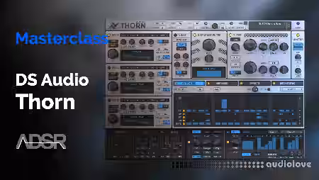 ADSR Sounds The Complete Guide To DS AUDIO THORN [TUTORiAL] - Sample Pack Artwork