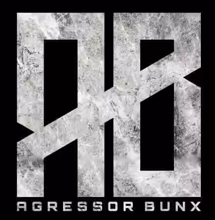 Agressor Bunx Drum n Bass Samples Patreon Pack Vol.41-43 [WAV] - Sample Pack Artwork