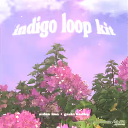 Aidan Han and Gavin Hadley Indigo [guitar loop kit] [WAV] - Sample Pack Artwork