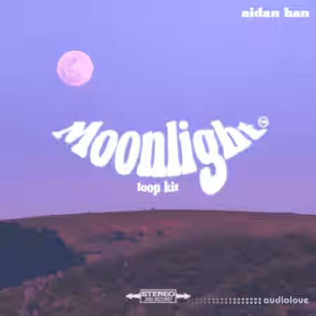 Aidan Han Moonlight [guitar loop kit] [WAV] - Sample Pack Artwork