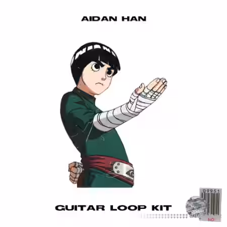 Aidan Han rock lee [guitar loop kit] [WAV] - Sample Pack Artwork