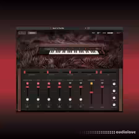 AIR Music Technology Solina v1.2.1.14 [WiN] - Sample Pack Artwork