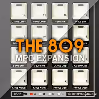 AKAI MPC Software Expansion The 809 v1.3 [WiN]