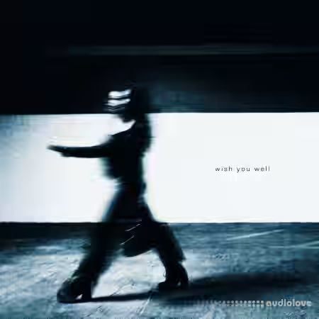 Akira & Ties Wish You Well (Compositions and Stems) [WAV] - Sample Pack Artwork