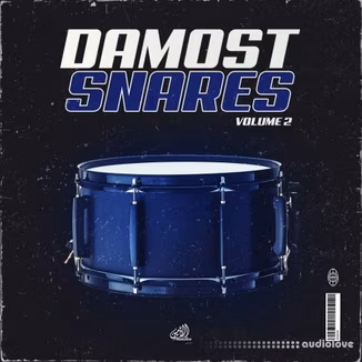 Al Amin Damost Snares Vol 2 [WAV]