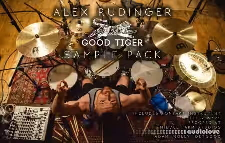 Alex Rudinger Good Tiger Sample Shell Pack [WAV] - Sample Pack Artwork