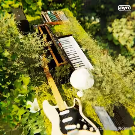 All You Need Synth Mania Vol.2 [WAV, Synth Presets] - Sample Pack Artwork