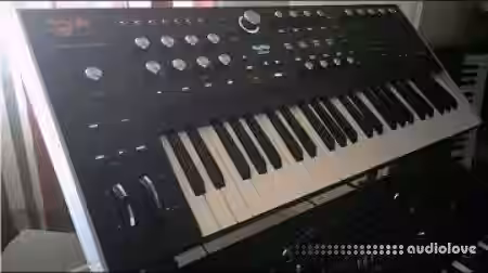 Alphacode 50 Custom Patches [Synth Presets] - Sample Pack Artwork