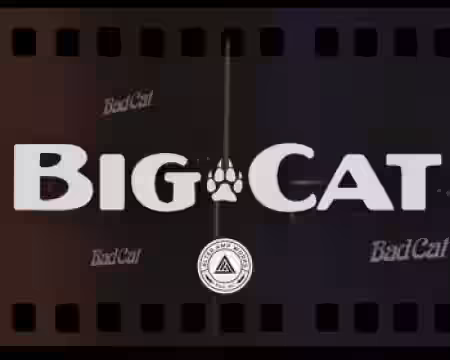 Alter Amp Works Big Cat Tonex Capture pack - Sample Pack Artwork