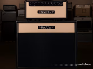 Alter Amp Works ERA 30 Tonex Capture pack