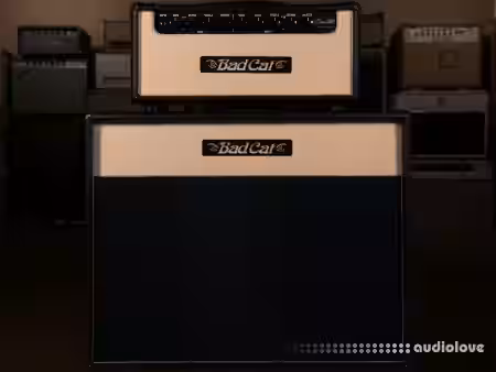 Alter Amp Works ERA 30 Tonex Capture pack - Sample Pack Artwork