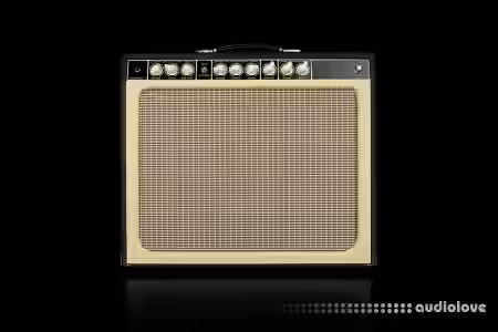 Amalgam Audio TK IMP MKII 2022 NAM Core DI [Synth Presets] - Sample Pack Artwork