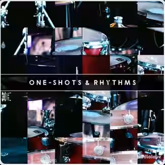 Analog Samples Drum Samples Oneshots and Rhythms [WAV]