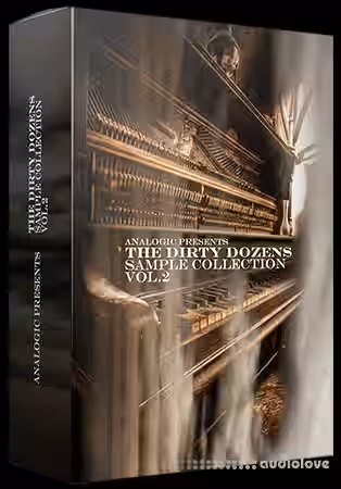 Analogic The Dirty Dozens Vol.2 [WAV] - Sample Pack Artwork