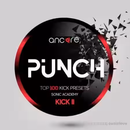 Ancore Sounds Punch [Synth Presets] - Sample Pack Artwork