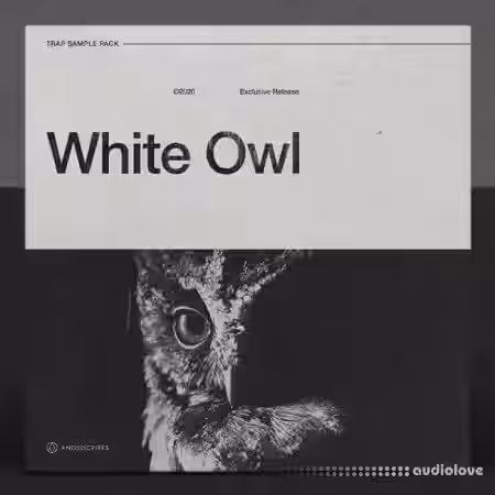 AngelicVibes White Owl [WAV] - Sample Pack Artwork