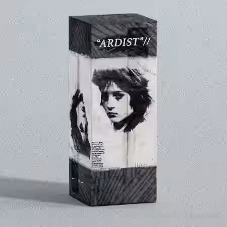 Ardist 'So Much Fun' Omnisphere Bank [Synth Presets] - Sample Pack Artwork