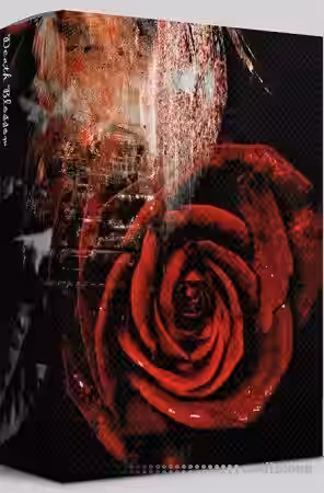 Ardist Sol [WAV] - Sample Pack Artwork