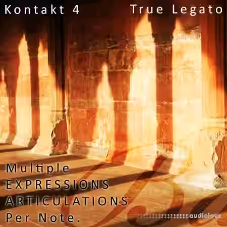 Aria Sounds Bansuri Flute [KONTAKT] - Sample Pack Artwork